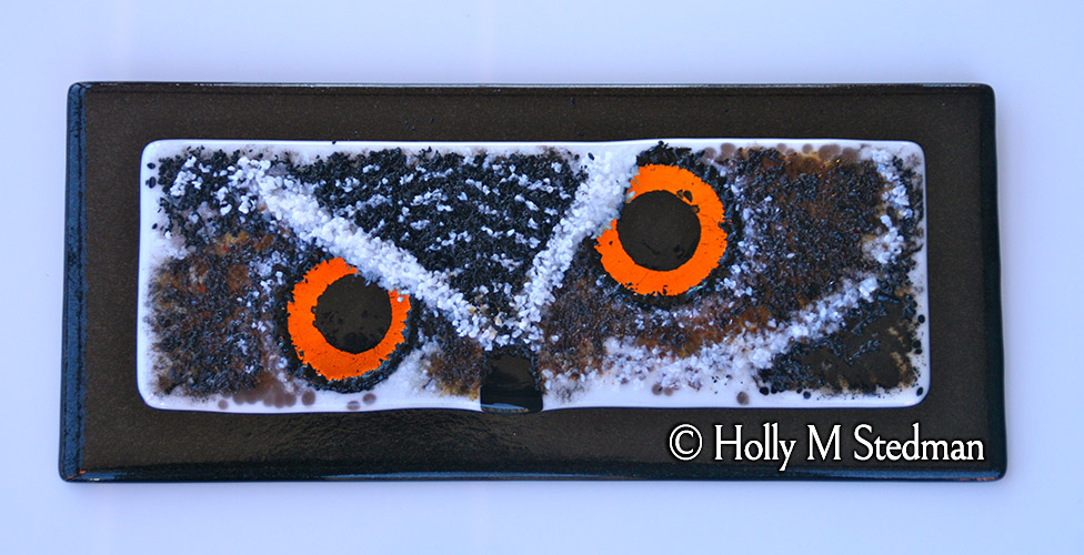 Fused glass panel of an owl